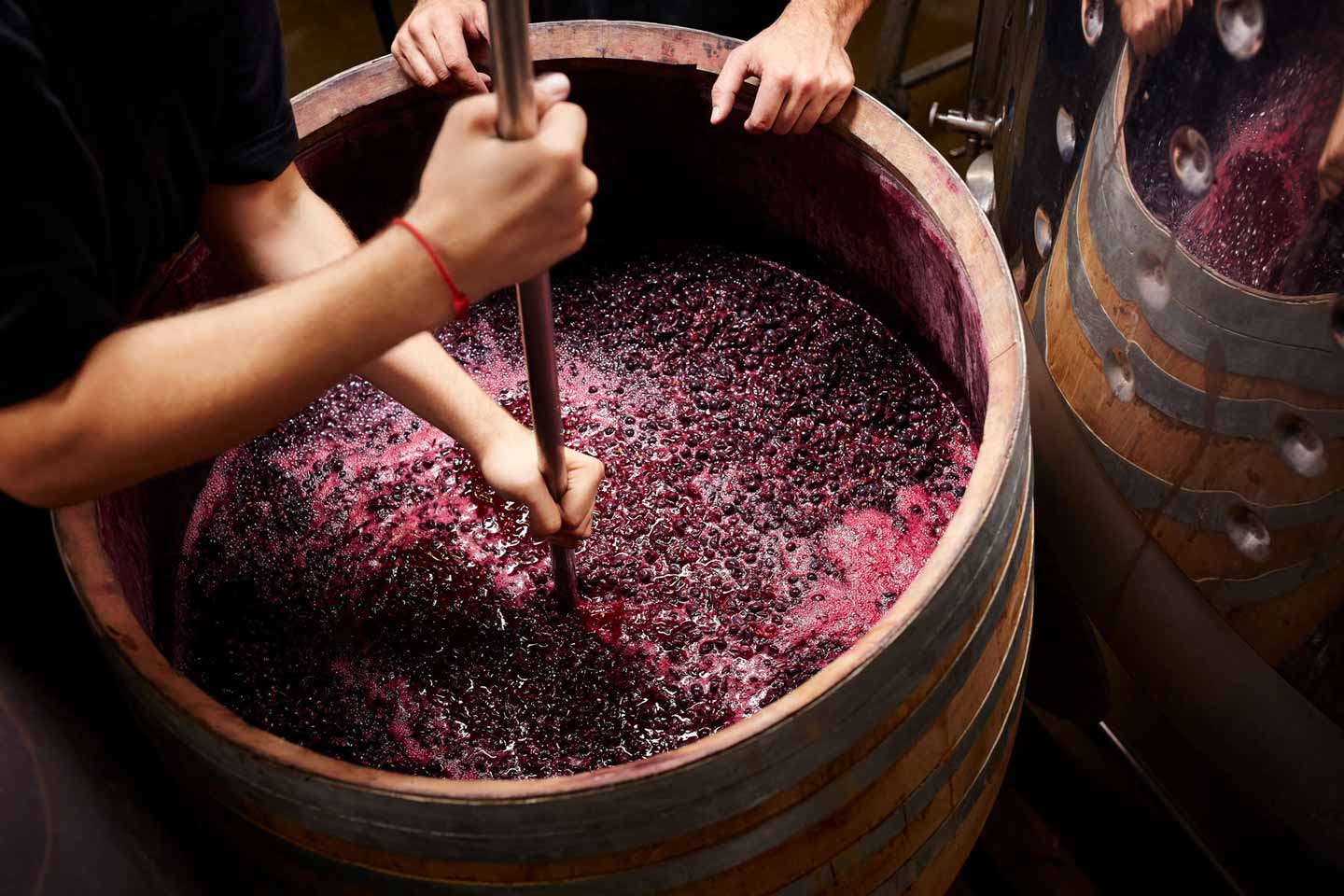 The Art of Winemaking
